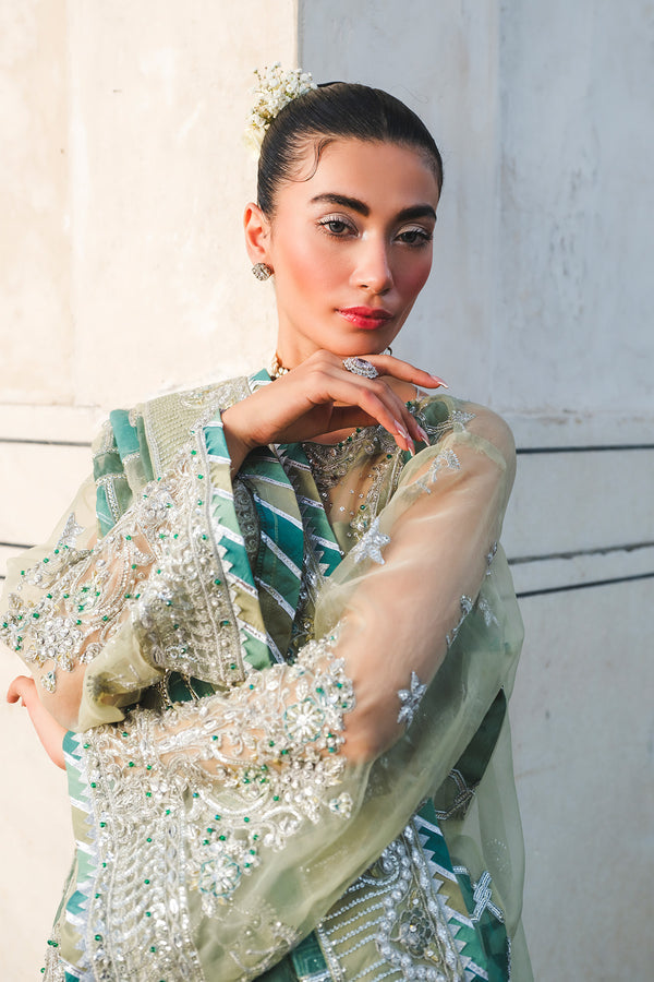 Raeesa Premium | Zauj Formals 25 | AAK - 06