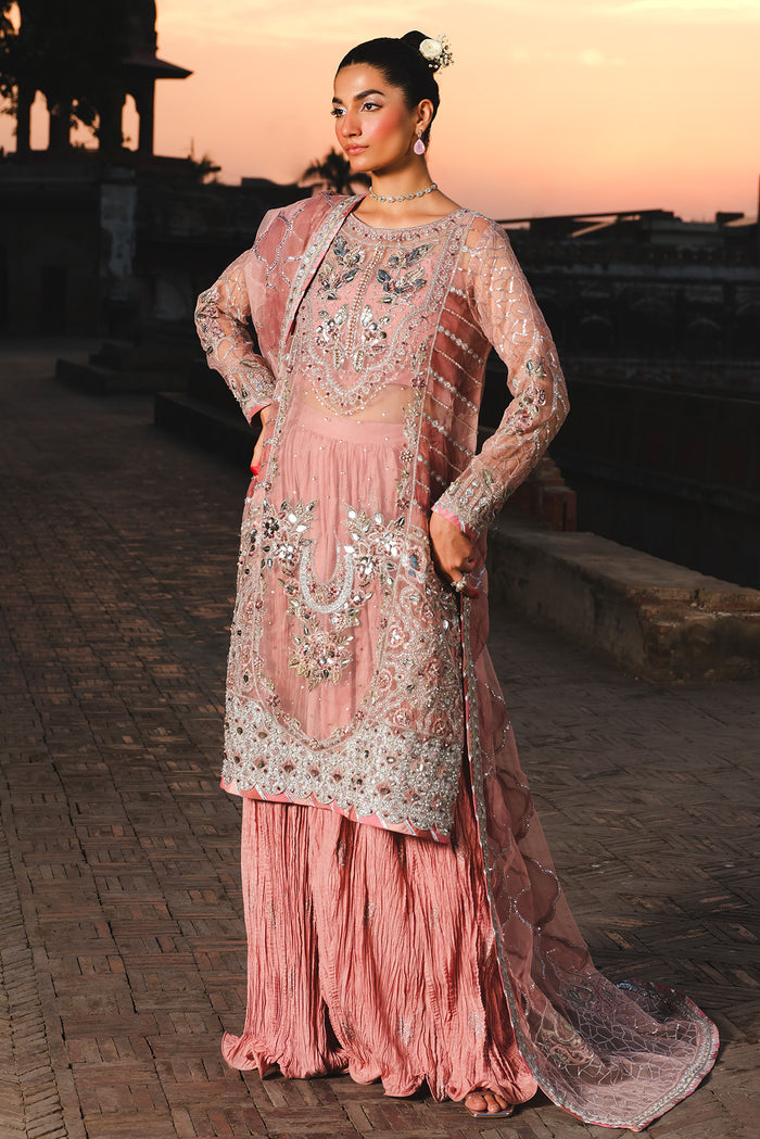 Raeesa Premium | Zauj Formals | AAK - 03