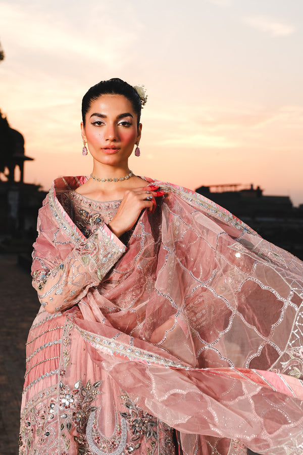 Raeesa Premium | Zauj Formals 25 | AAK - 03