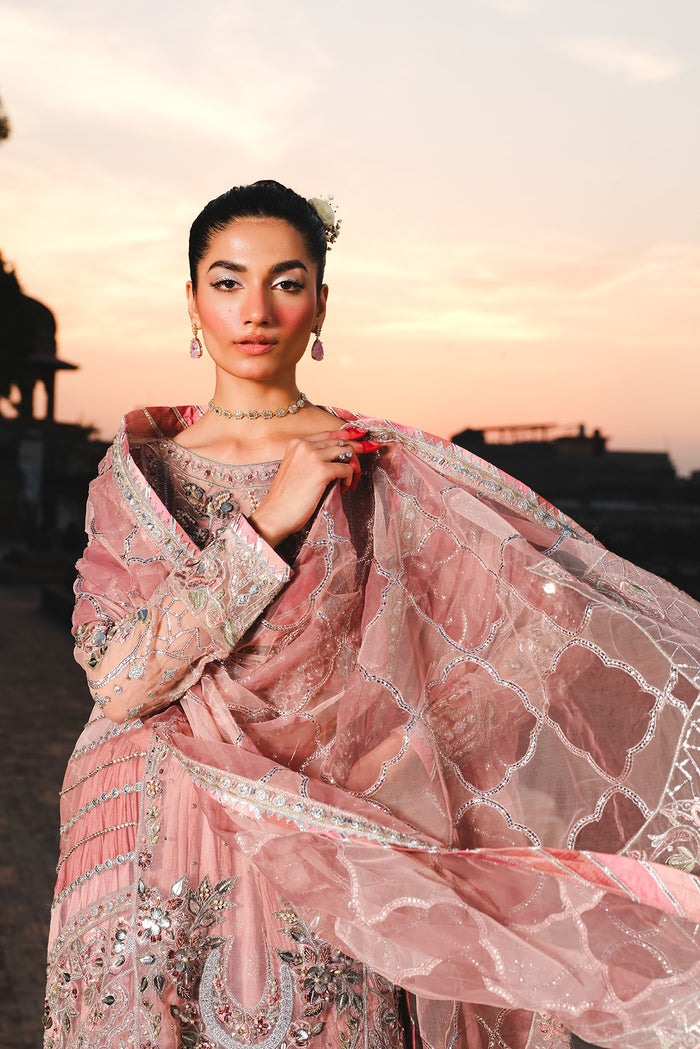 Raeesa Premium | Zauj Formals | AAK - 03