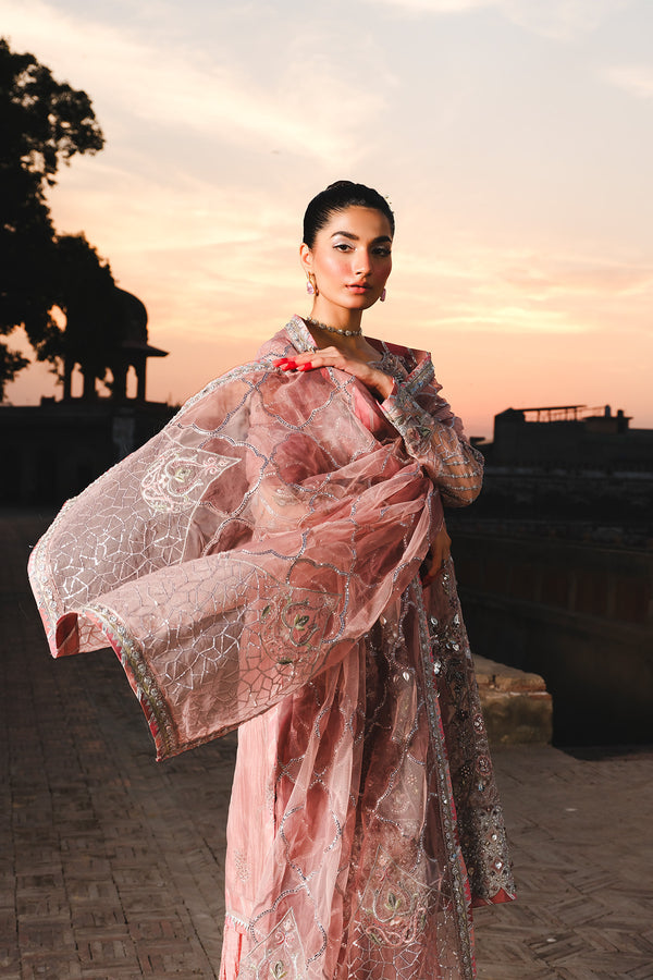 Raeesa Premium | Zauj Formals 25 | AAK - 03