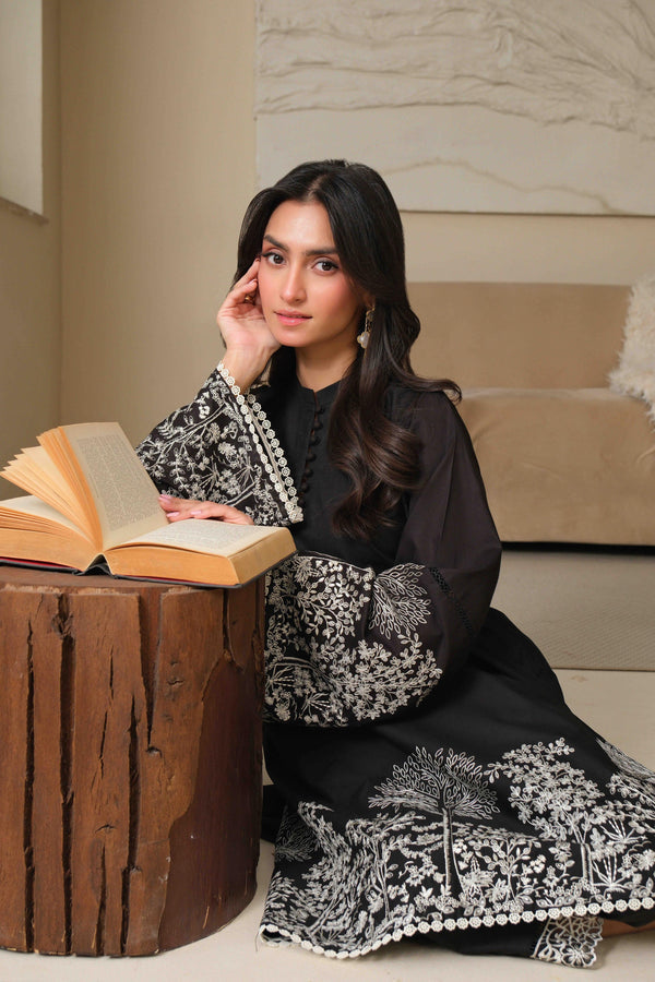 Noor by Saadia Asad | Noor Pret 25 | D1 - Midnight Charm