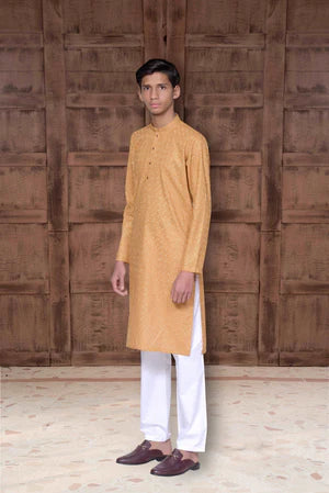 Occasions Designer Wear Mustard Gold Chikankari Kurta