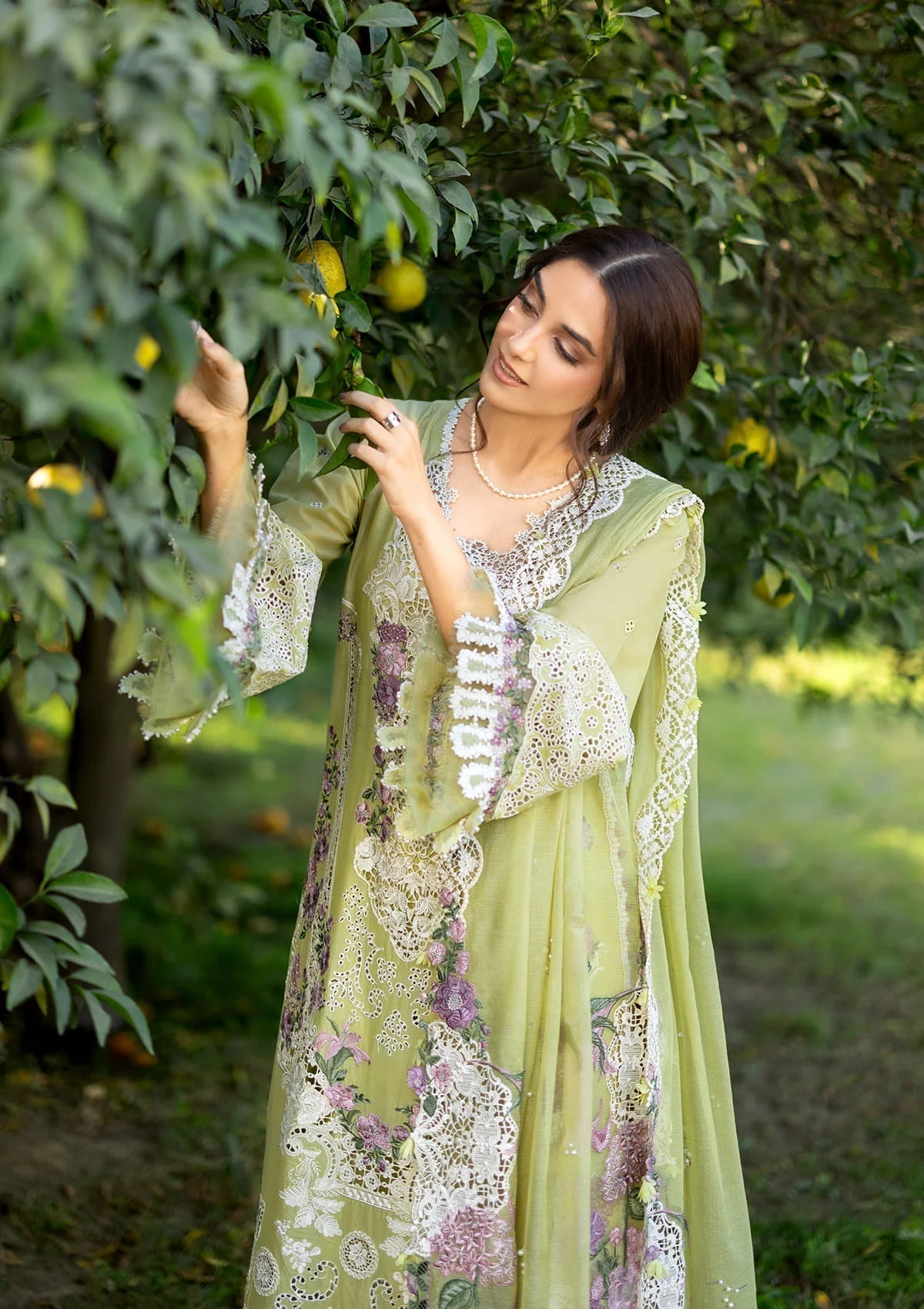 Elaf Premium | Luxury Lawn 26 | ELY-08 PISTACHIA