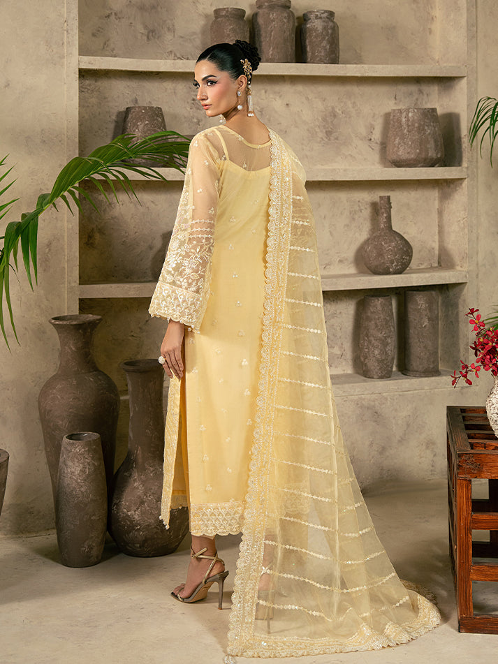Gulaal | Azira Luxury Formals | AUREVA