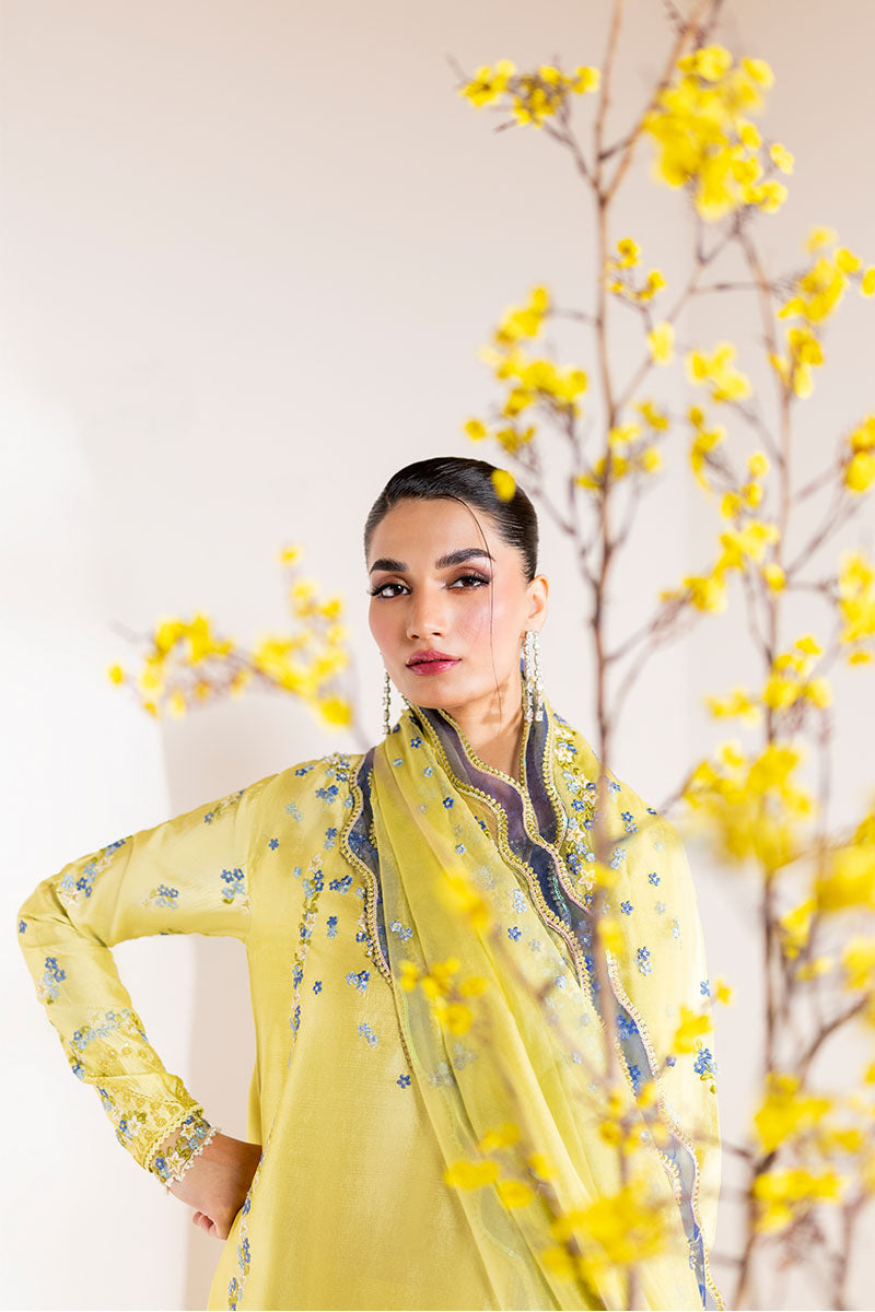 Mushq | Zarminay Luxury Pret | Lumiere
