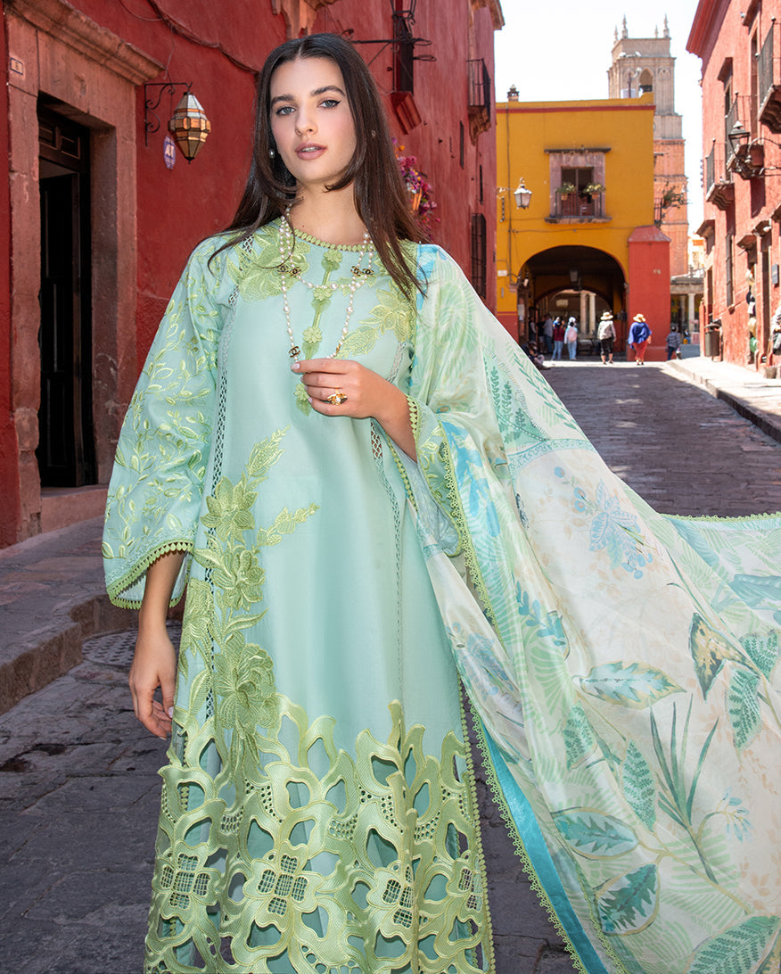 Mushq | Odyssey Lawn 26 | Paloma