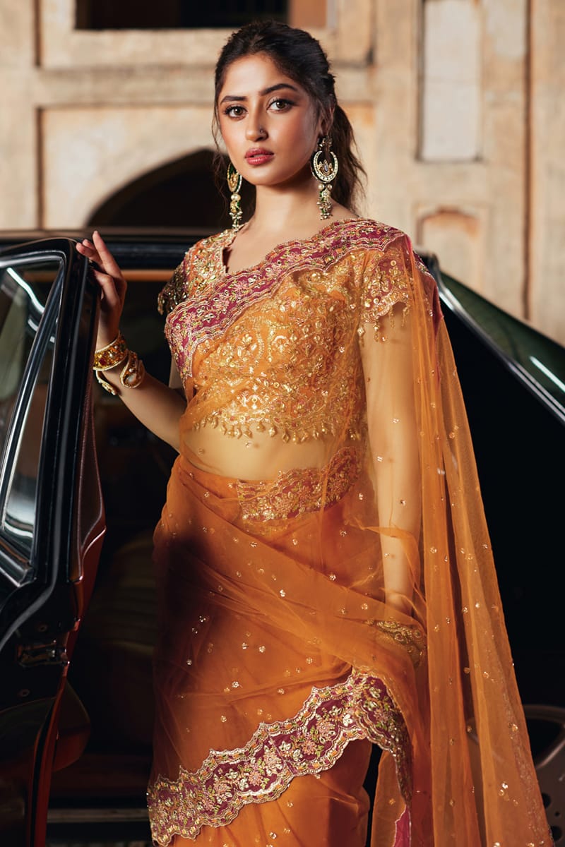 Qalamkar | Shadmani Luxury Formals |  Raniya SH-02