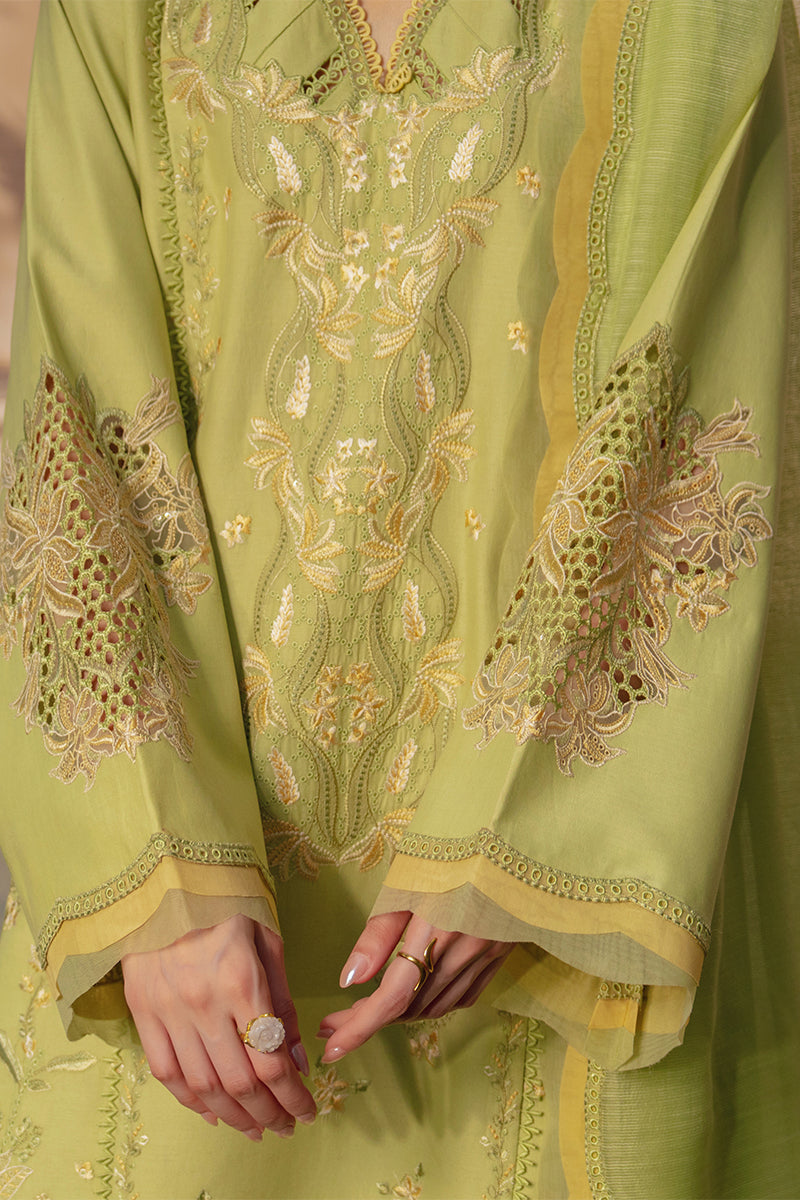 Rangrasiya | Luxury Eid Collection | Nadine