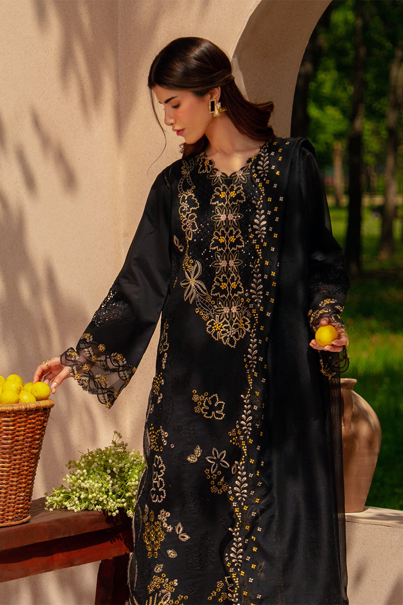 Rangrasiya | Luxury Eid Collection | Layl