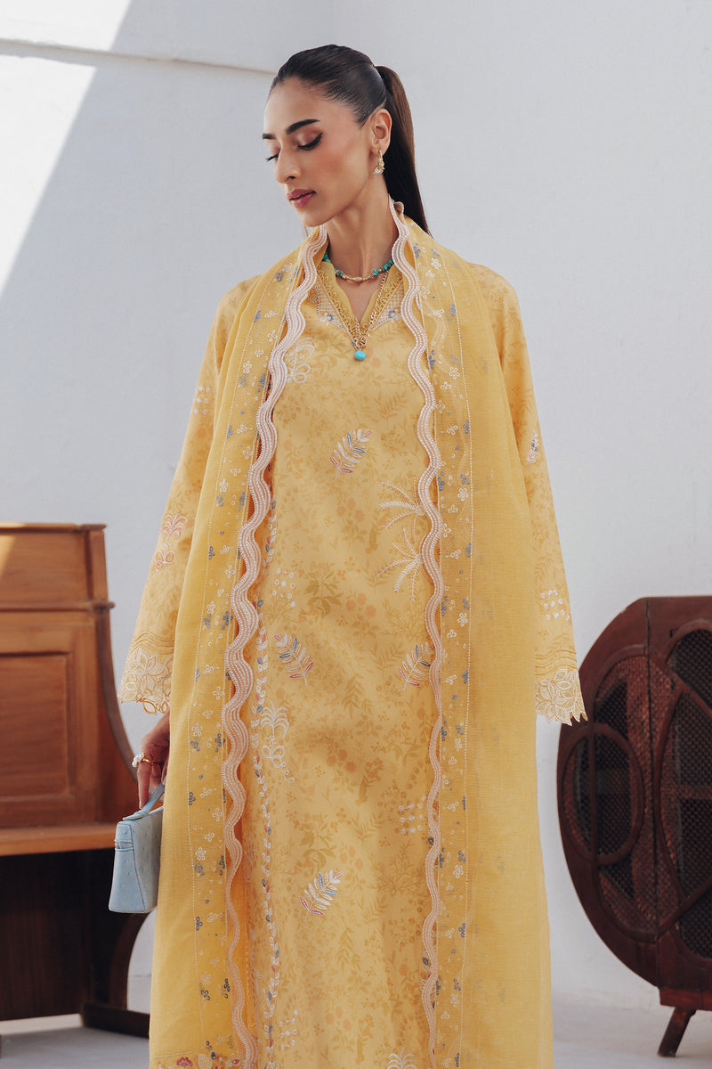 Qalamkar | Basic Pret 26 | QBP-06 CLARA