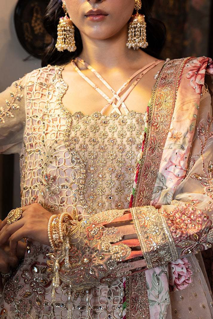 Imrozia Premium | Maahi Exclusive Nikkah Collection |SB-45 Amar