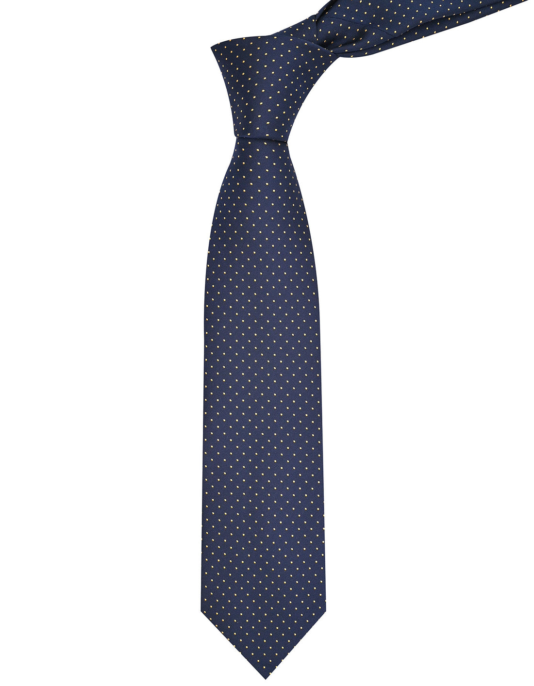 Navy Dotted Tie