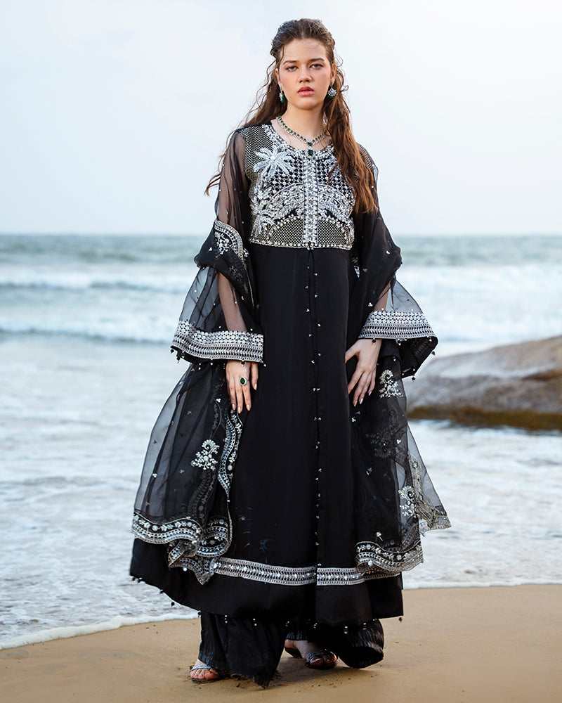 Ain | Leher Formal Luxury 25 | AN-114