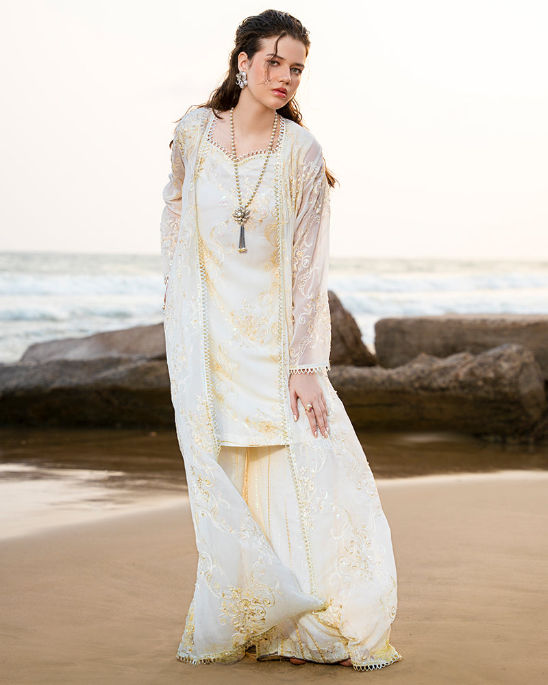 Ain | Leher Formal Luxury 25 | AN-133