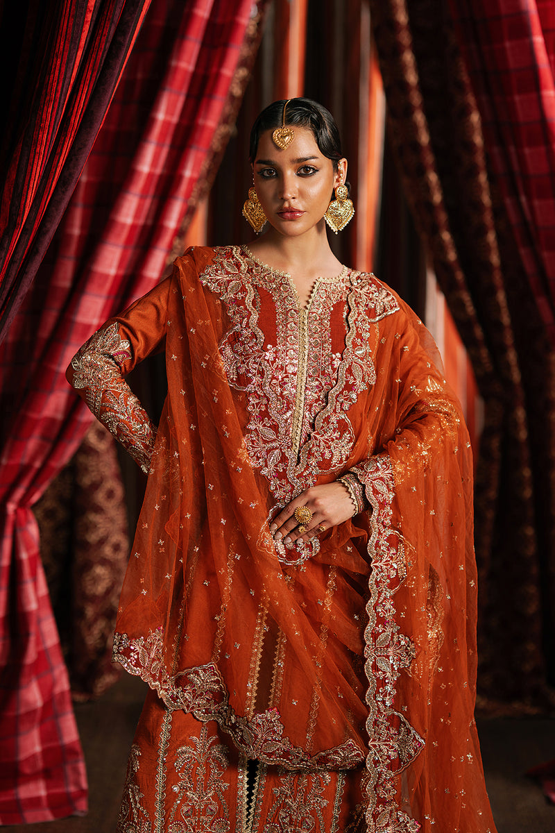 Afrozeh | Divani Silk 25 | Aafreen