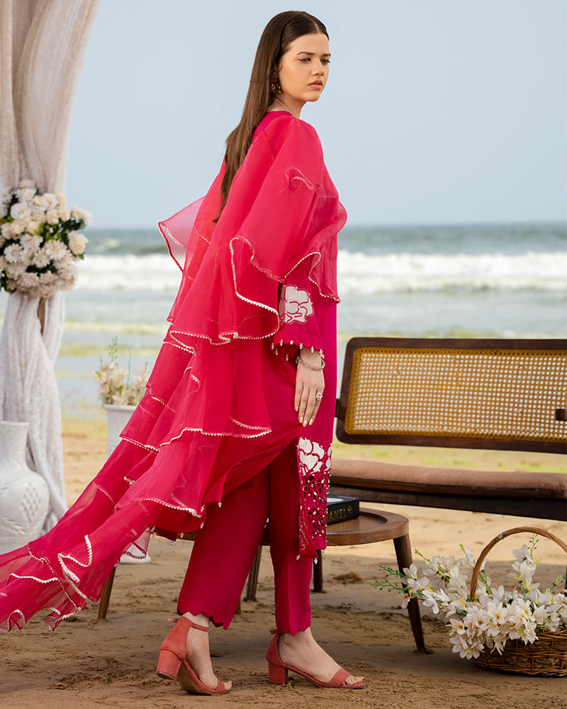 Ain | Leher Formal Luxury 25 | AN-137