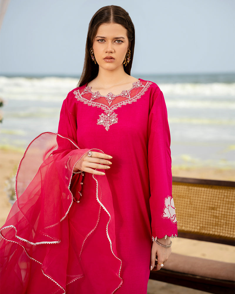 Ain | Leher Formal Luxury 25 | AN-137