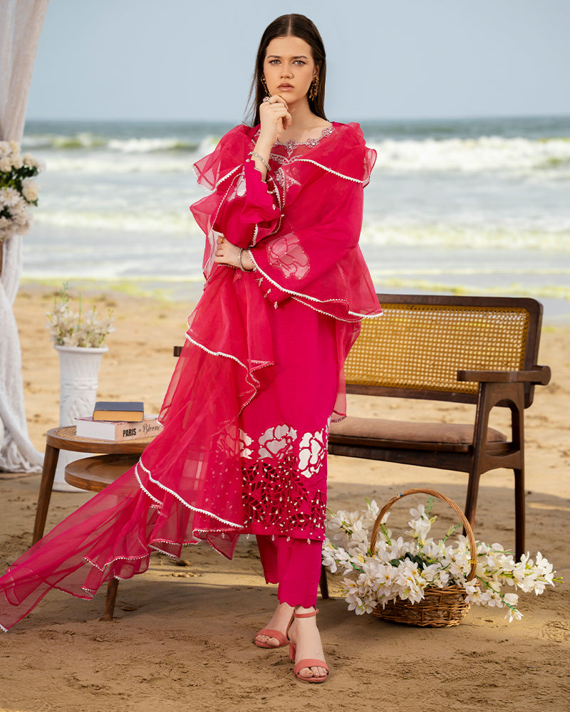 Ain | Leher Formal Luxury 25 | AN-137