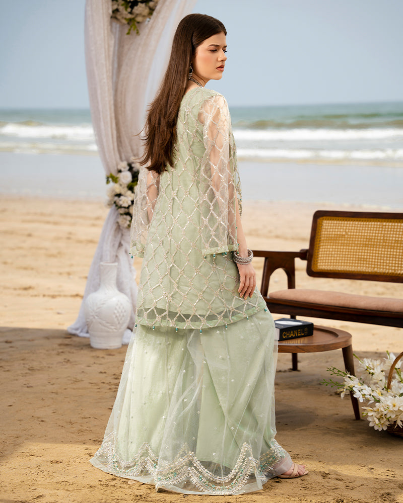 Ain | Leher Formal Luxury 25 | AN-136