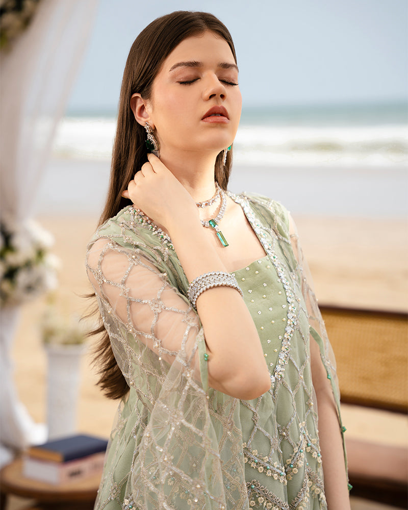 Ain | Leher Formal Luxury 25 | AN-136