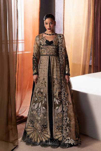 Afrozeh | Hayat Formals 25 | Rayyan