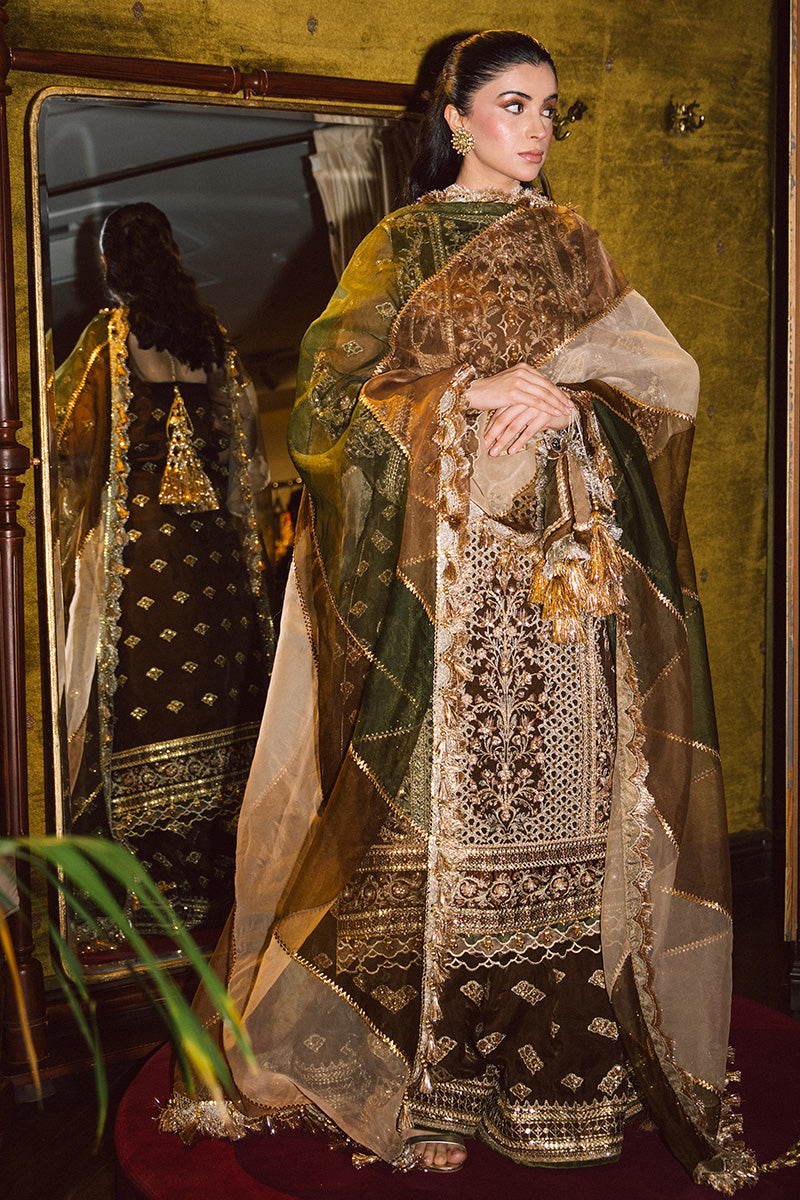 MNR | Zarlish Festive 25 | Zahra Sarfraz in Tabeer