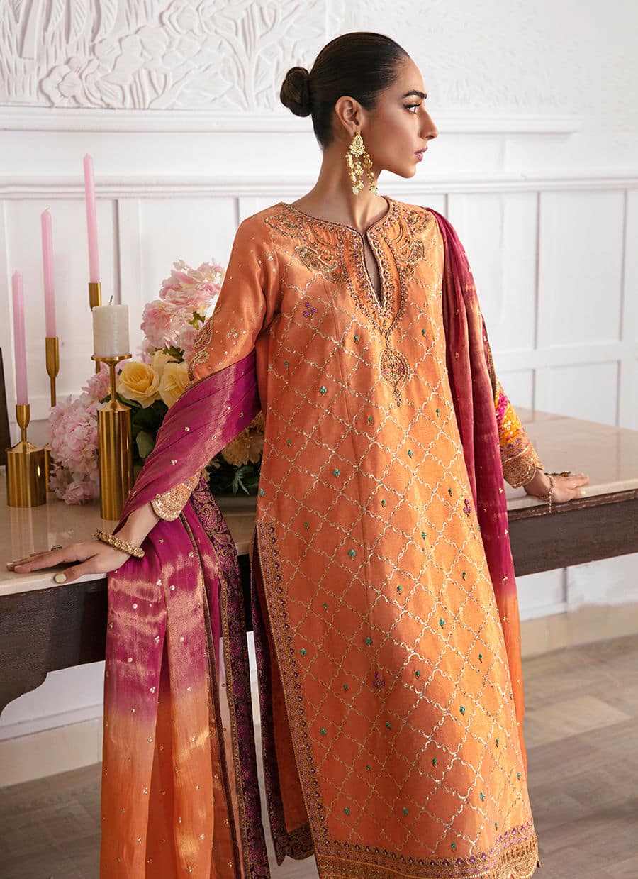 Farah Talib Aziz | Mayna Festive Luxe | ALEEN APRICOT