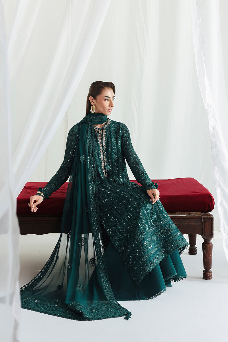 Qalamkar | Chiffon 26 | QCC-05 JANAAN