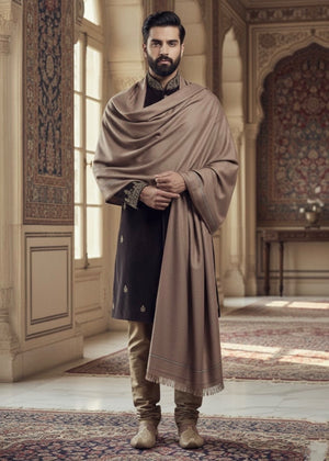 Hijab Gallery By Arbish Arts SHAWL-SHEHANSHA brown