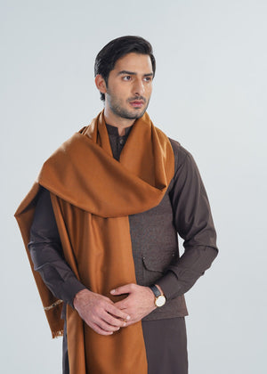 Muraqsh Brown Kashmiri Wool Shawl - Men