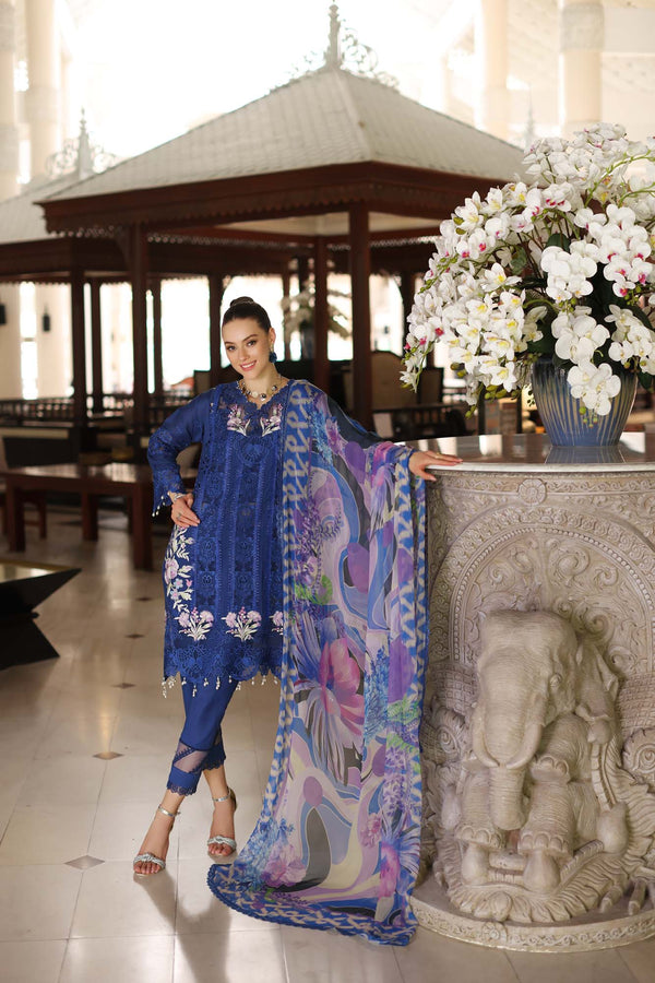 Noor by Saadia Asad | Luxury Chikankari Lawn’24 | D10-B Blue Electric