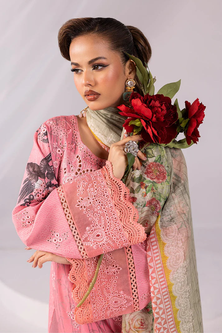 Imrozia Premium | Noor 25 | SP-65 SABEEN